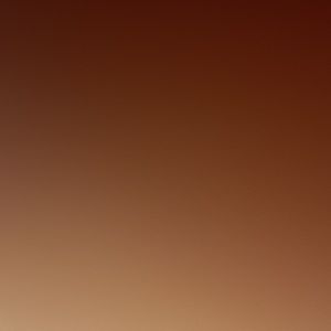 Meet your Posher, Magan